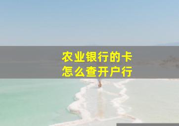 农业银行的卡怎么查开户行