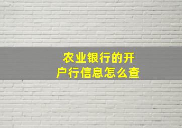 农业银行的开户行信息怎么查