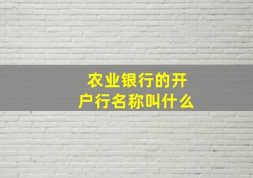 农业银行的开户行名称叫什么