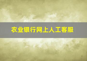 农业银行网上人工客服