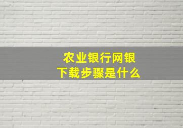 农业银行网银下载步骤是什么