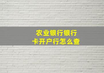 农业银行银行卡开户行怎么查