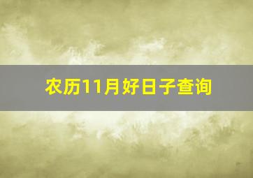 农历11月好日子查询