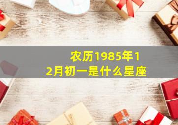 农历1985年12月初一是什么星座