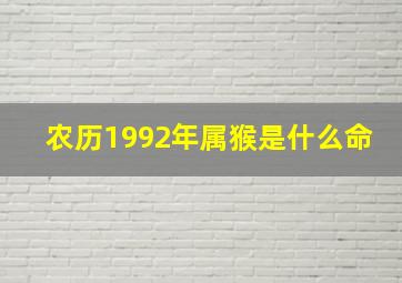 农历1992年属猴是什么命