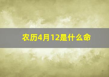 农历4月12是什么命