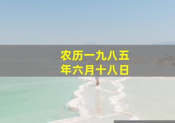 农历一九八五年六月十八日