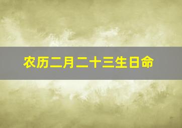 农历二月二十三生日命