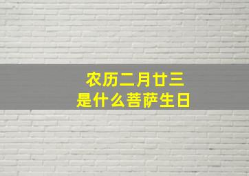 农历二月廿三是什么菩萨生日