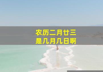 农历二月廿三是几月几日啊