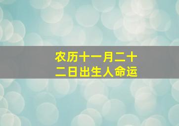 农历十一月二十二日出生人命运