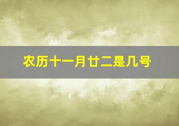 农历十一月廿二是几号