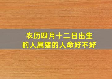 农历四月十二日出生的人属猪的人命好不好