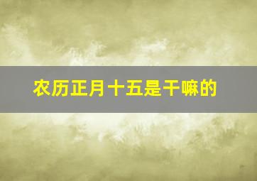 农历正月十五是干嘛的