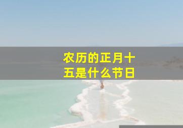 农历的正月十五是什么节日