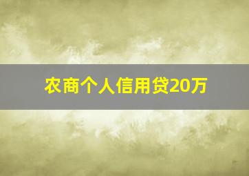 农商个人信用贷20万