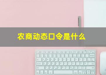 农商动态口令是什么