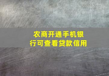 农商开通手机银行可查看贷款信用