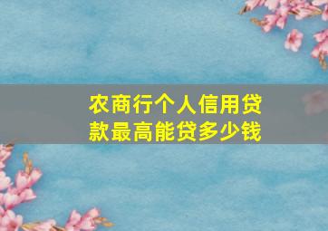 农商行个人信用贷款最高能贷多少钱