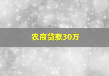 农商贷款30万