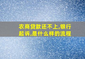 农商贷款还不上,银行起诉,是什么样的流程