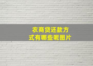 农商贷还款方式有哪些呢图片