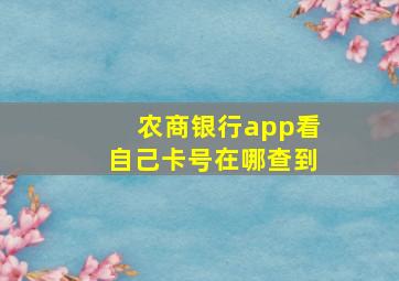 农商银行app看自己卡号在哪查到