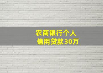 农商银行个人信用贷款30万