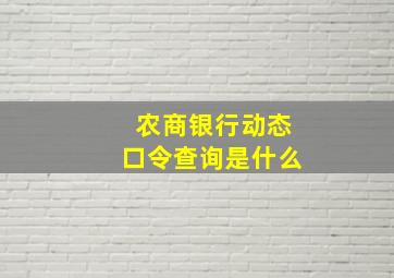 农商银行动态口令查询是什么