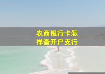 农商银行卡怎样查开户支行