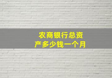 农商银行总资产多少钱一个月