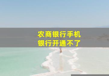 农商银行手机银行开通不了