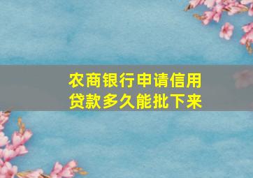 农商银行申请信用贷款多久能批下来