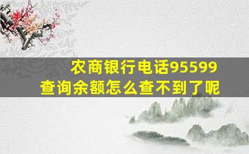 农商银行电话95599查询余额怎么查不到了呢