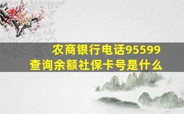 农商银行电话95599查询余额社保卡号是什么