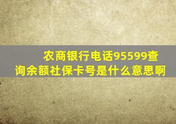 农商银行电话95599查询余额社保卡号是什么意思啊