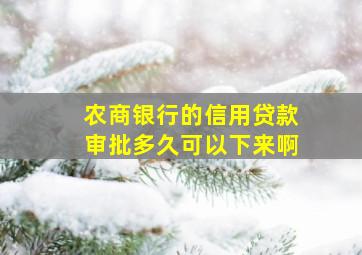 农商银行的信用贷款审批多久可以下来啊