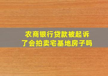 农商银行贷款被起诉了会拍卖宅基地房子吗