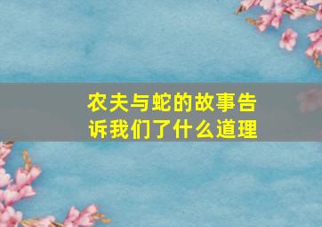 农夫与蛇的故事告诉我们了什么道理