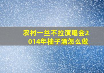 农村一丝不拉演唱会2014年柚子酒怎么做