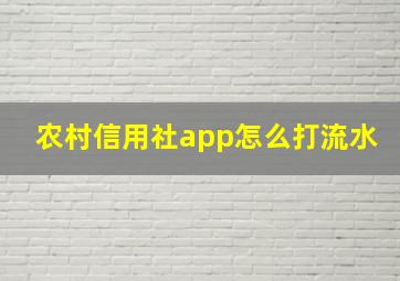 农村信用社app怎么打流水