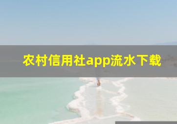 农村信用社app流水下载