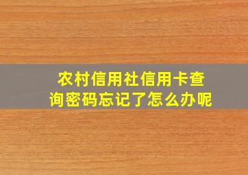 农村信用社信用卡查询密码忘记了怎么办呢