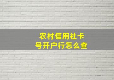 农村信用社卡号开户行怎么查