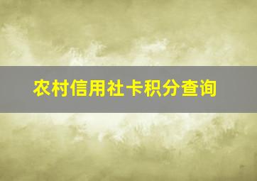 农村信用社卡积分查询