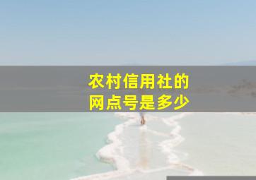 农村信用社的网点号是多少