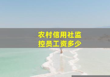 农村信用社监控员工资多少