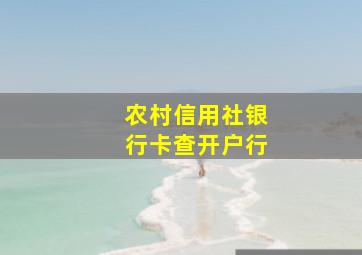 农村信用社银行卡查开户行