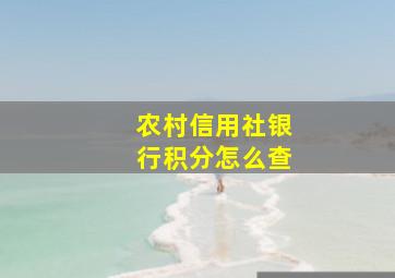 农村信用社银行积分怎么查