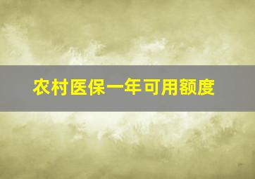 农村医保一年可用额度